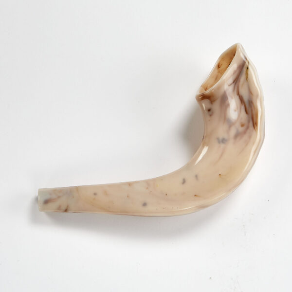 Realistic Plastic Toy Shofar - Image 4
